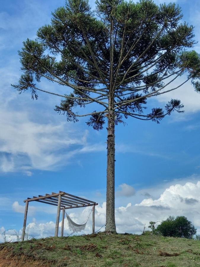 Celeiro Guarapuava, 4 Quartos, Paz E Tranquilidade Kültér fotó